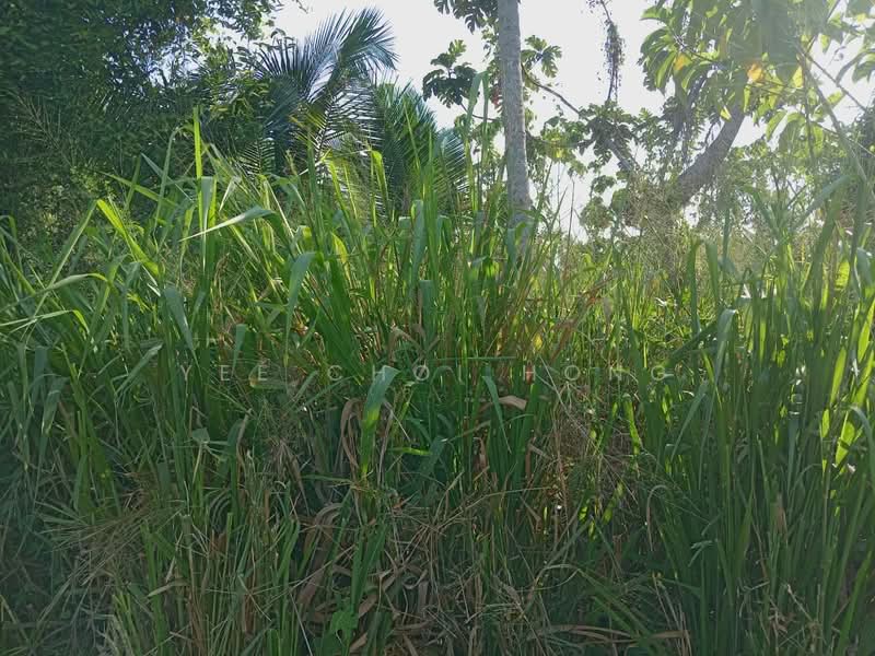 Tanah Pertanian untuk Dijual di Bukit Minyak (Penang) - Yee Choi Hong - Exterior - PropertyGuru.com.my