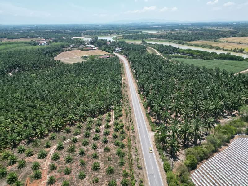 Pinang Tunggal untuk Untuk Dijual - RM 631,620, Apr 2026 - Exterior - PropertyGuru.com.my