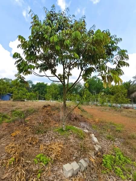 Pekan Nenas untuk Untuk Dijual - RM 680,000, Apr 2026 - Exterior - PropertyGuru.com.my