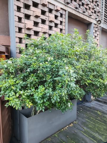 Retail Space for Rent in KLCC (KL City Centre) - Annie Chong - Exterior - PropertyGuru.com.my