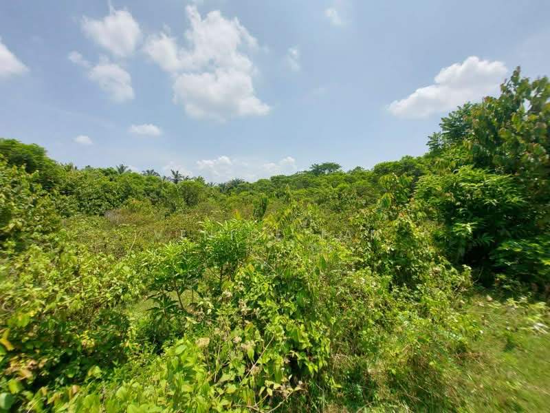 Agricultural Land for Sale in Gopeng (Perak) - Venise Tan - Exterior - PropertyGuru.com.my