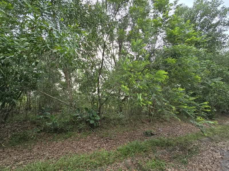 Industrial Land for Sale in Elmina (Shah Alam) - Kent Chua - PropertyGuru.com.my