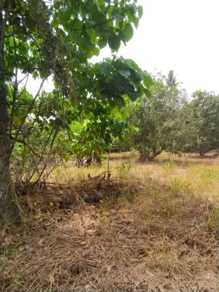 Agricultural Land for Sale in Balik Pulau (Penang) - Danial Zharif - Exterior - PropertyGuru.com.my
