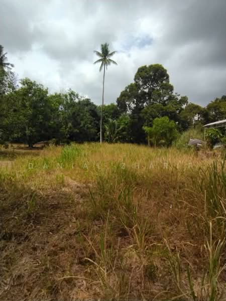Agricultural Land for Sale in Balik Pulau (Penang) - Danial Zharif - Exterior - PropertyGuru.com.my