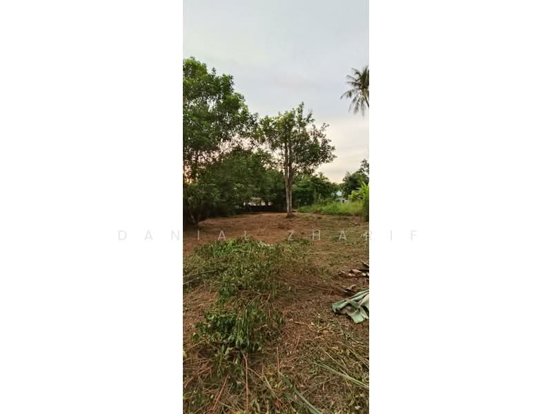 Agricultural Land for Sale in Balik Pulau (Penang) - Danial Zharif - Exterior - PropertyGuru.com.my