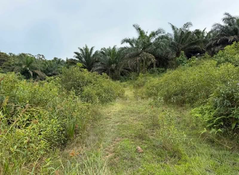 Agricultural Land for Sale in Jemaluang (Johor) - DIDIE FARHAN - Exterior - PropertyGuru.com.my