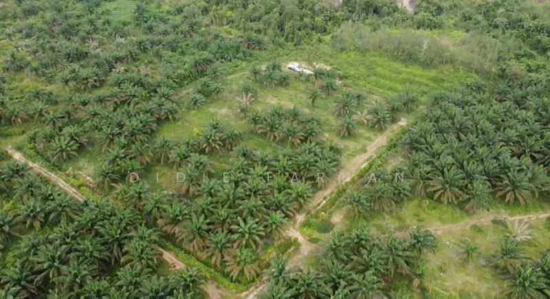 Agricultural Land for Sale in Jemaluang (Johor) - DIDIE FARHAN - Exterior - PropertyGuru.com.my