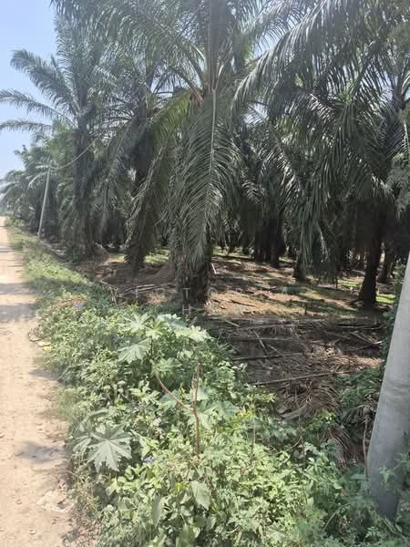 Industrial Land for Sale in Kuala Selangor (Selangor) - Victoria Chew - Exterior - PropertyGuru.com.my