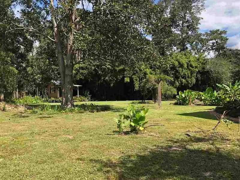 Agricultural Land for Sale in Ulu Semenyih (Selangor) - Michelle Teoh - Exterior - PropertyGuru.com.my