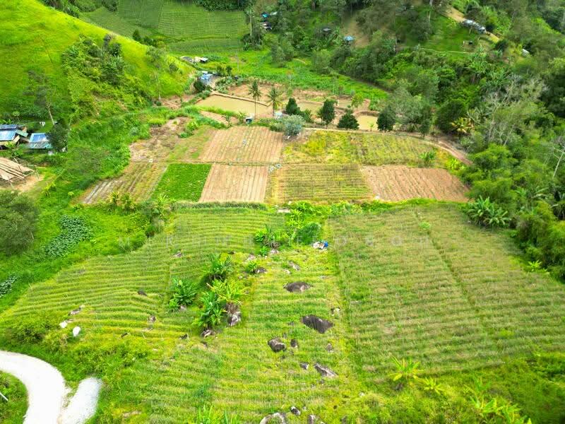 Agricultural Land for Sale in Ulu Semenyih (Selangor) - Michelle Teoh - Exterior - PropertyGuru.com.my