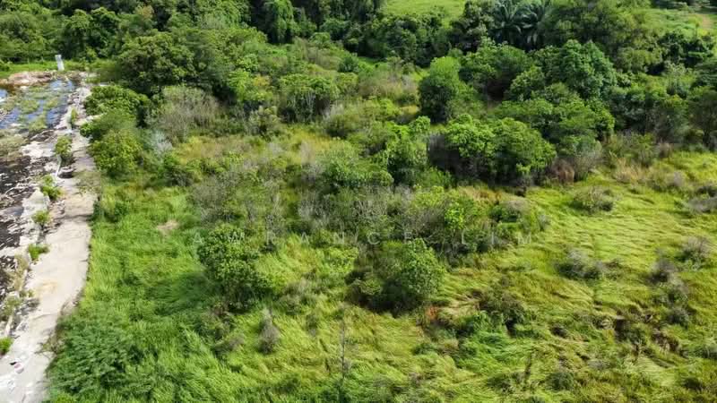 Industrial Land for Sale in Telok Mas (Melaka) - Lawrance Lim - Exterior - PropertyGuru.com.my