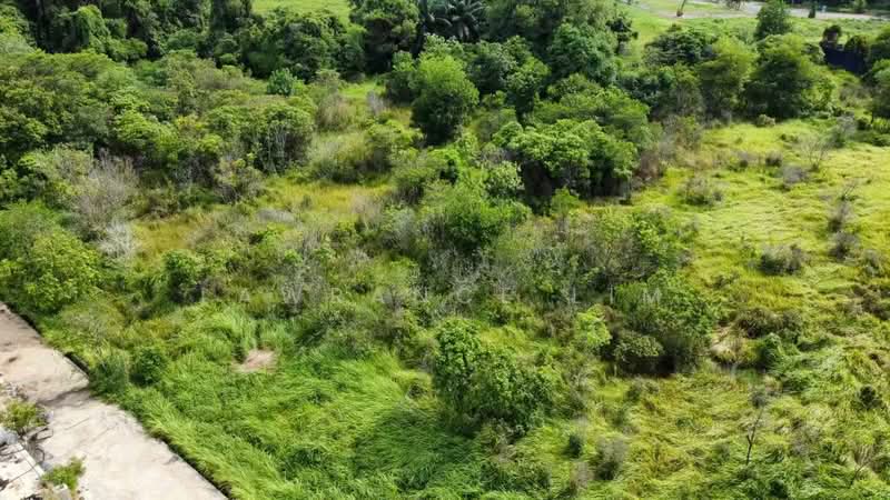 Industrial Land for Sale in Telok Mas (Melaka) - Lawrance Lim - Exterior - PropertyGuru.com.my