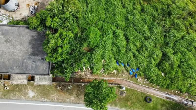 Industrial Land for Sale in Telok Mas (Melaka) - Lawrance Lim - Exterior - PropertyGuru.com.my