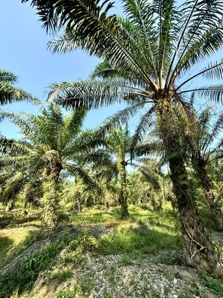 Benut untuk Untuk Dijual - RM 618,000, Apr 2026 - Garden - PropertyGuru.com.my