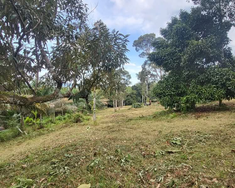 Kulim untuk Untuk Dijual - RM 430,000, Apr 2026 - Garden - PropertyGuru.com.my