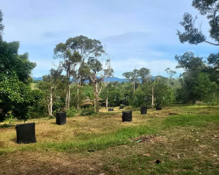 Tanah Pertanian untuk Dijual di Kulim (Kedah) - Danial Zharif - Exterior - PropertyGuru.com.my