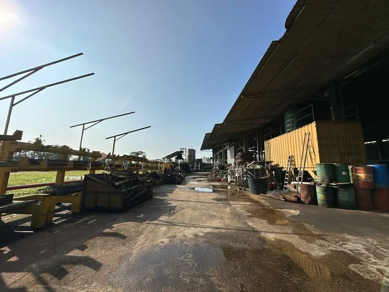 Seelong Seelong Seelongs - 5