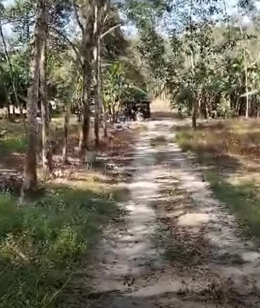 Simpang Pertang untuk Untuk Dijual - RM 7,488,000, Apr 2026 - Exterior - PropertyGuru.com.my