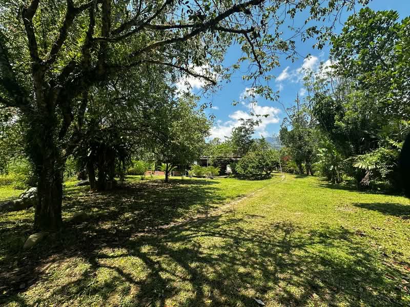 Agricultural Land for Sale in Janda Baik (Bentong) - Zira . - Garden - PropertyGuru.com.my