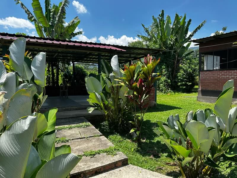 Agricultural Land for Sale in Janda Baik (Bentong) - Zira . - Exterior - PropertyGuru.com.my