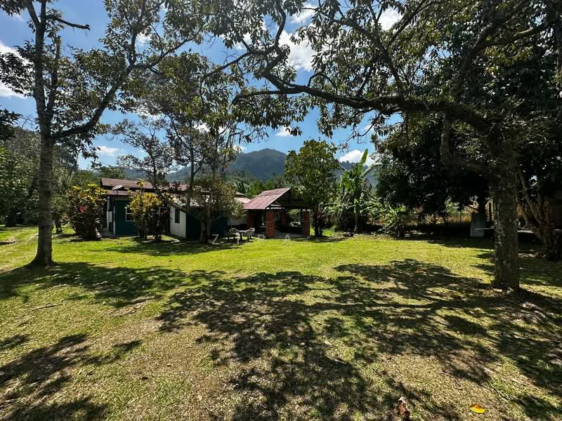 Agricultural Land for Sale in Janda Baik (Bentong) - Zira . - Exterior - PropertyGuru.com.my