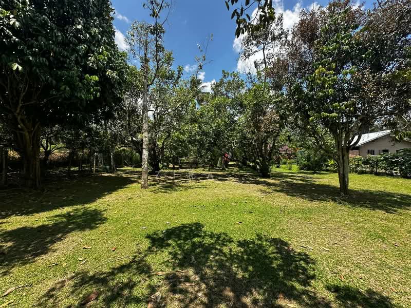 Agricultural Land for Sale in Janda Baik (Bentong) - Zira . - Garden - PropertyGuru.com.my