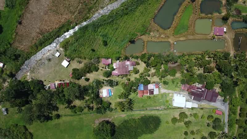 Agricultural Land for Sale in Janda Baik (Bentong) - Zira . - Exterior - PropertyGuru.com.my