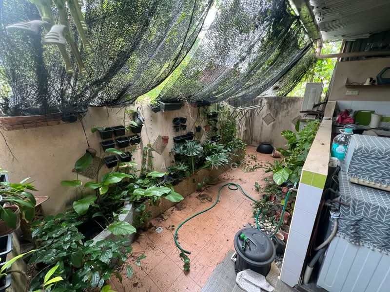 Rumah Teres 1 Tingkat untuk Dijual di Tanjung Tokong (Penang) - Max Ng - Garden - PropertyGuru.com.my