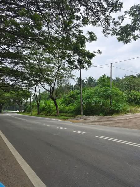Industrial Land for Sale in Senai (Johor) - Alex Looi - Exterior - PropertyGuru.com.my