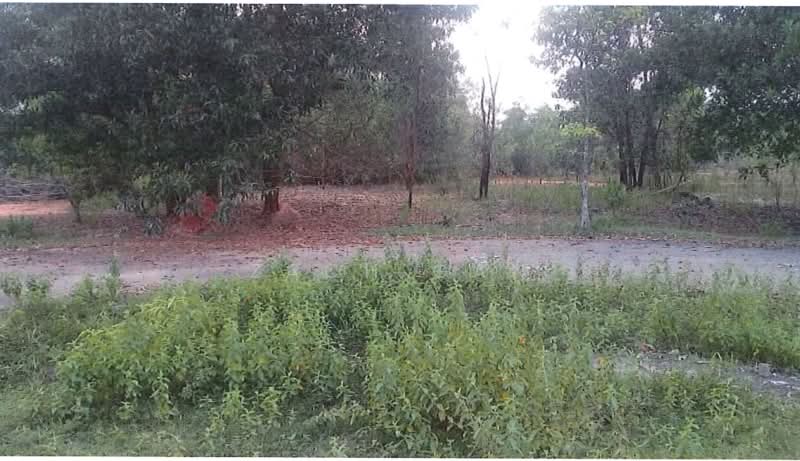 Tanah Perindustrian untuk Dijual di Telok Panglima Garang (Selangor) - Zach Gan - Exterior - PropertyGuru.com.my