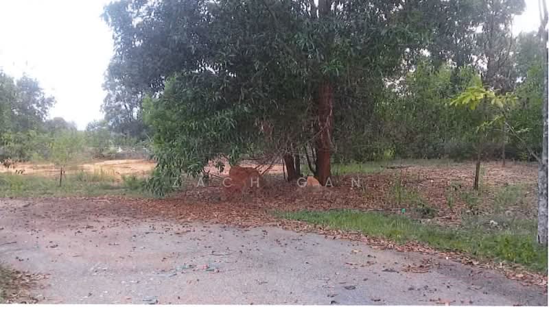 Tanah Perindustrian untuk Dijual di Telok Panglima Garang (Selangor) - Zach Gan - Exterior - PropertyGuru.com.my