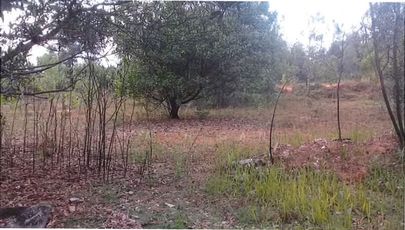 Tanah Perindustrian untuk Dijual di Telok Panglima Garang (Selangor) - Zach Gan - Exterior - PropertyGuru.com.my