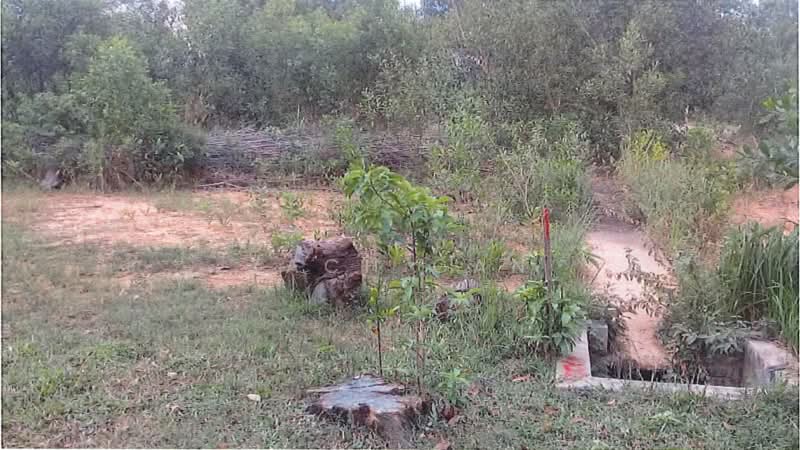 Tanah Perindustrian untuk Dijual di Telok Panglima Garang (Selangor) - Zach Gan - Exterior - PropertyGuru.com.my