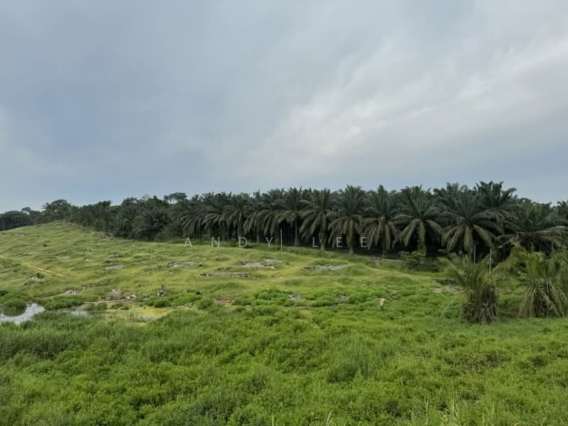 Tanjung Kupang Gelang Patah - 1