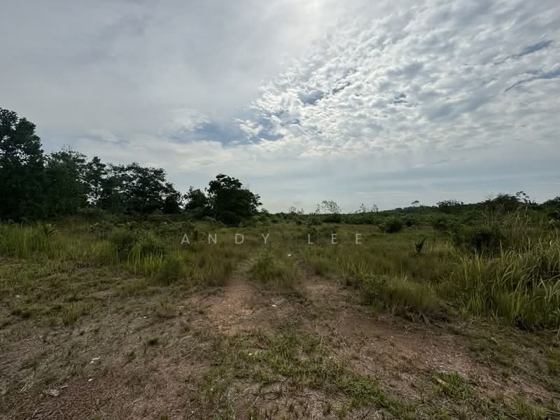 Industrial Land for Sale in Tanjung Kupang (Iskandar Puteri (Nusajaya)) - Andy Lee - Exterior - PropertyGuru.com.my