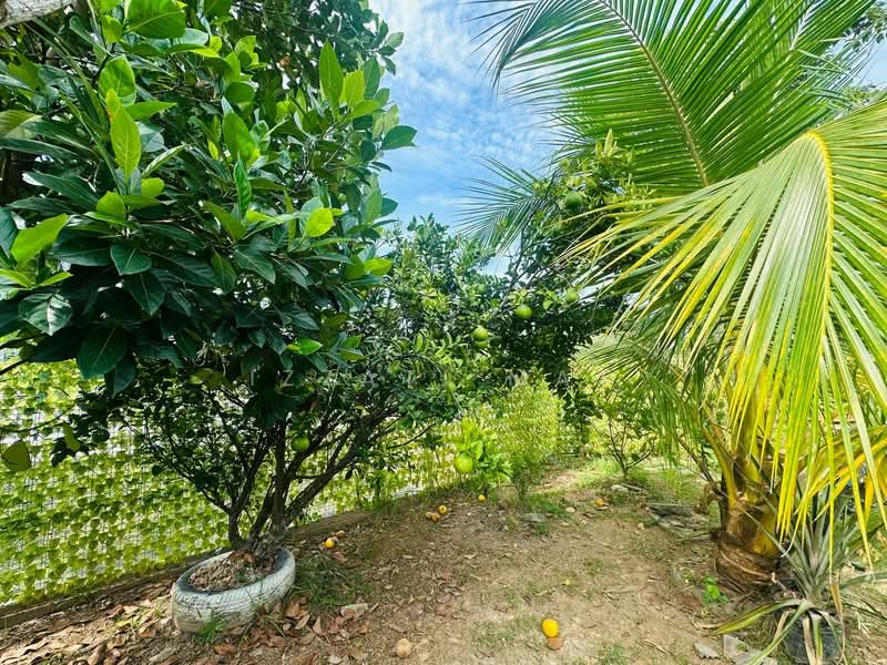 Semi-Detached House for Sale in Dengkil (Selangor) - Izzati Mat - Garden - PropertyGuru.com.my