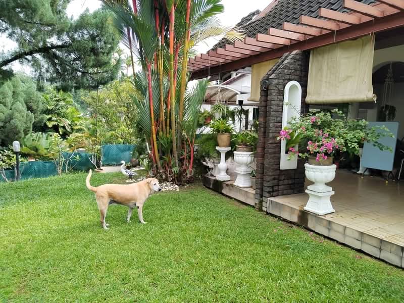 Bungalow House for Sale in Taman Bukit Pantai (Bangsar) - Eddy . - Exterior - PropertyGuru.com.my