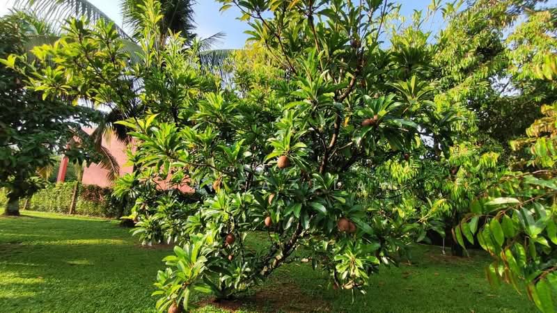 Bungalow Kebun untuk Untuk Dijual - RM 1,300,000, Apr 2026 - Garden - PropertyGuru.com.my