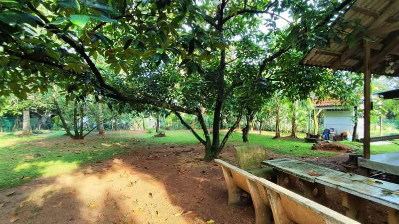 Bungalow Kebun untuk Untuk Dijual - RM 1,300,000, Apr 2026 - Garden - PropertyGuru.com.my