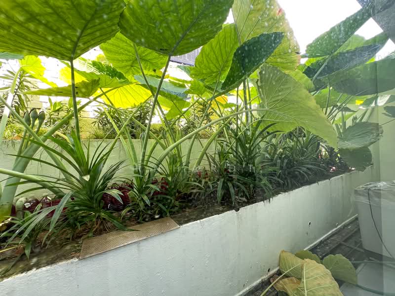 2-storey Terraced House for Rent in Bangsar (Kuala Lumpur) - Bernhardt . - Garden - PropertyGuru.com.my