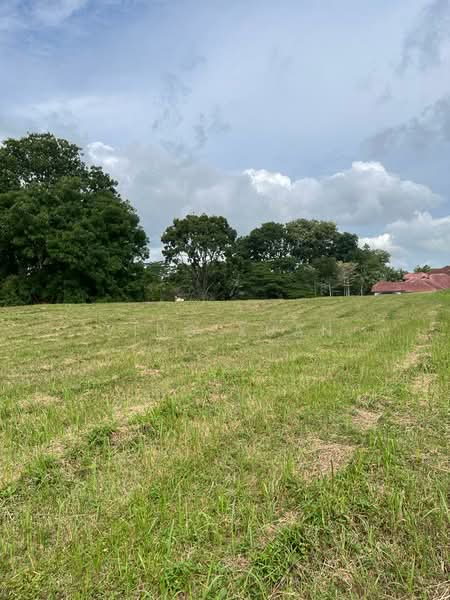 Bungalow Land for Sale in Leisure Farm (Gelang Patah) - Ying Xuan - Exterior - PropertyGuru.com.my