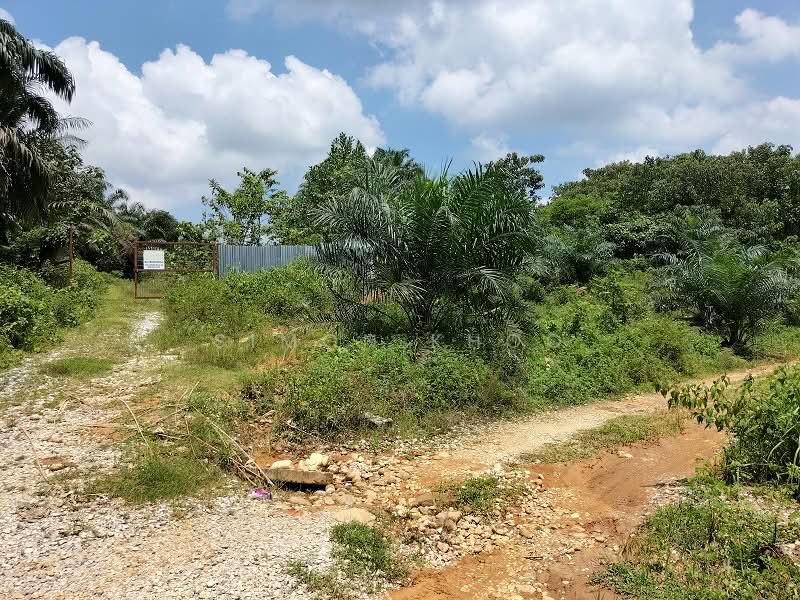 Tanah Pertanian untuk Dijual di Bidor (Perak) - Simon Khoo - Exterior - PropertyGuru.com.my