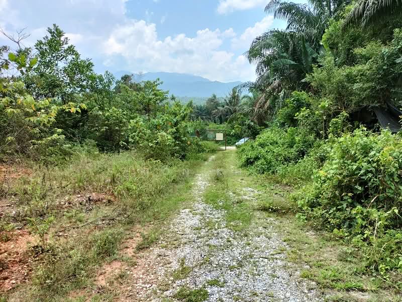 Tanah Pertanian untuk Dijual di Bidor (Perak) - Simon Khoo - Exterior - PropertyGuru.com.my