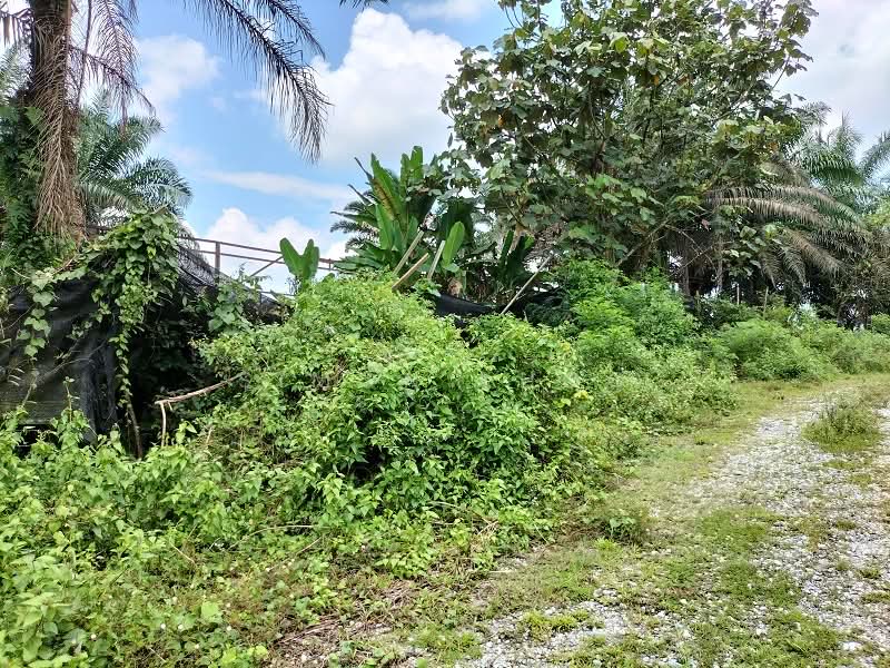 Tanah Pertanian untuk Dijual di Bidor (Perak) - Simon Khoo - Exterior - PropertyGuru.com.my