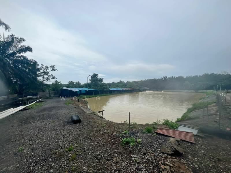 Tanah Pertanian untuk Dijual di Taman Perindustrian Plentong (Johor Bahru) - Wong Ouray - Exterior - PropertyGuru.com.my