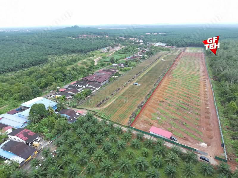 Tanah Kediaman untuk Dijual di Kulim (Kedah) - Teh Guan Fong - Exterior - PropertyGuru.com.my