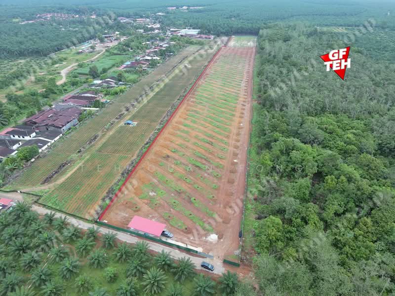 Tanah Kediaman untuk Dijual di Kulim (Kedah) - Teh Guan Fong - Exterior - PropertyGuru.com.my