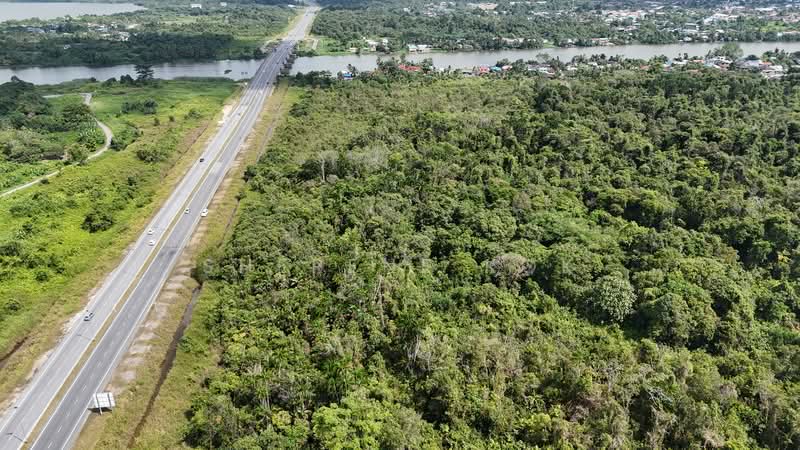 Tanah Pertanian untuk Dijual di Kuching (Sarawak) - Sherene Kok - PropertyGuru.com.my