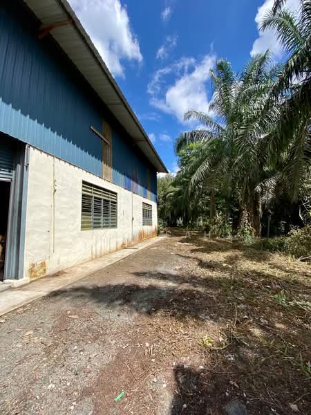 Gudang untuk Disewa di Benut (Johor) - Saedah Napisah - Exterior - PropertyGuru.com.my