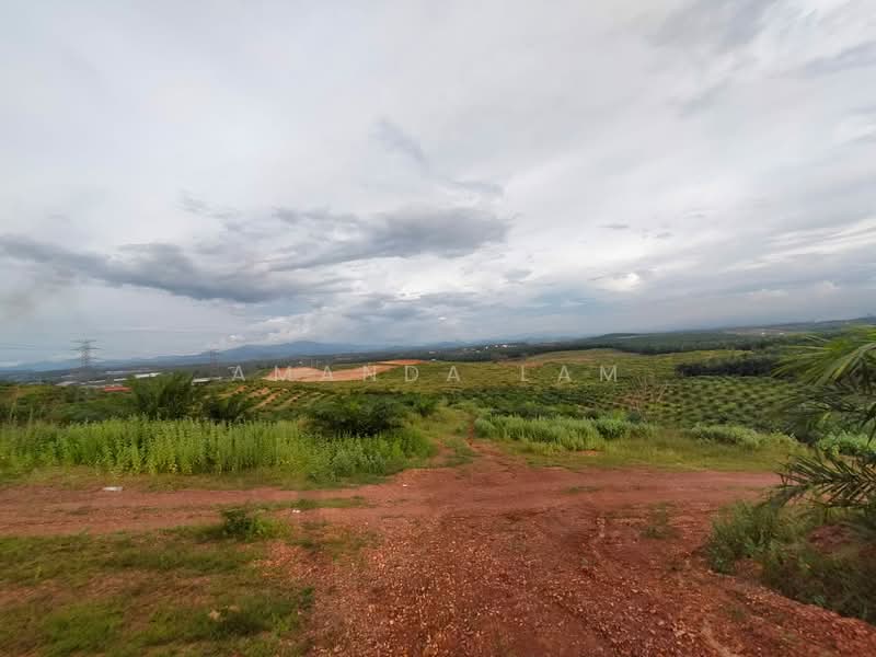 Industrial Land for Sale in Bukit Selambau (Kedah) - Amanda Lam - Exterior - PropertyGuru.com.my